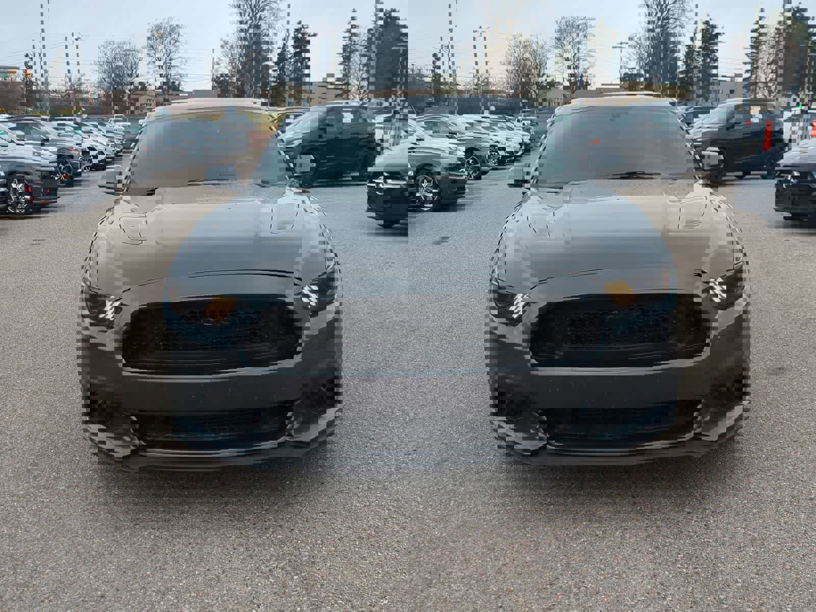 Used 2016 Ford Mustang GT Premium w/ Black Accent Package image 3