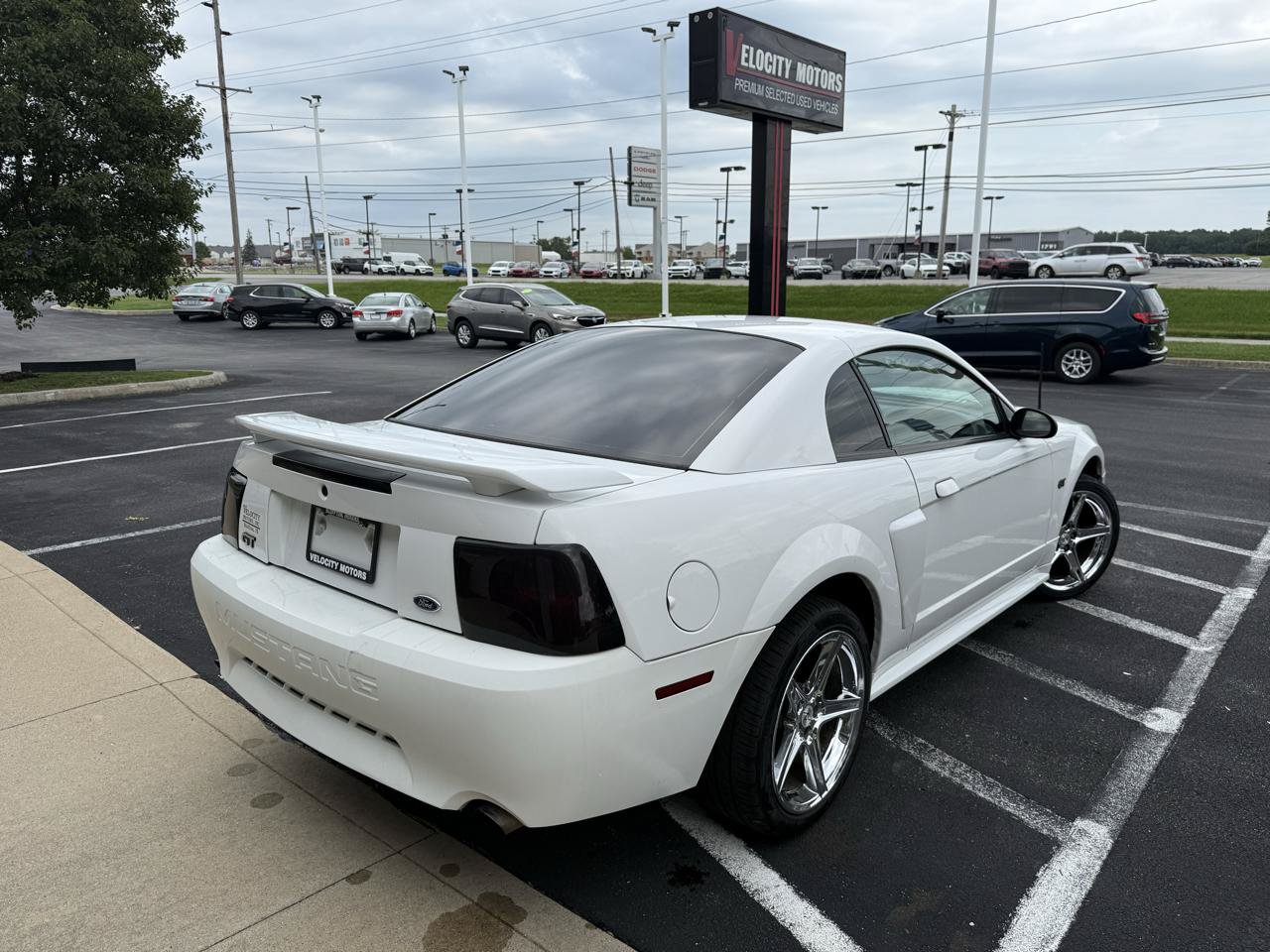 Used 2001 Ford Mustang GT RWD image 5