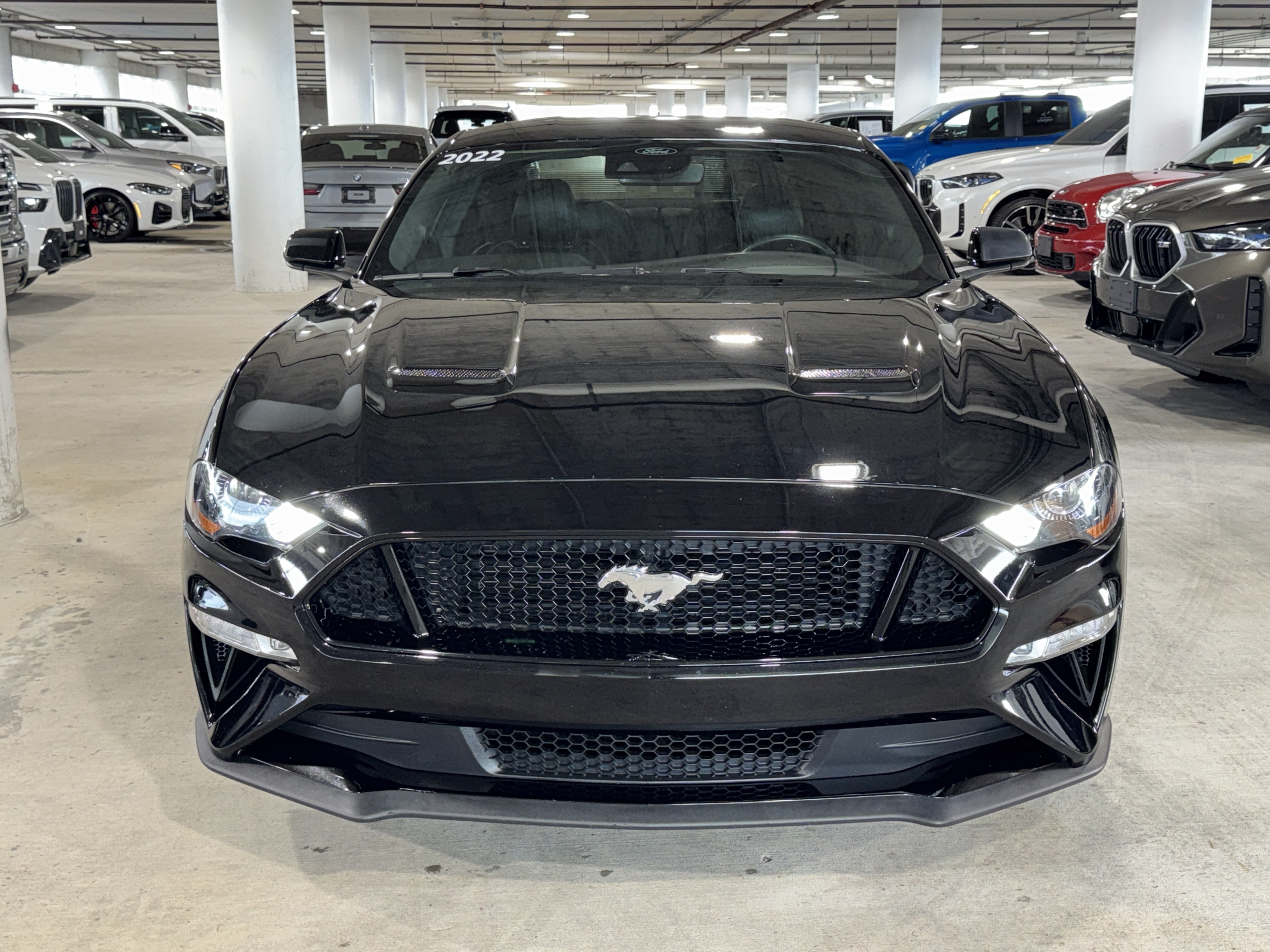 Used 2022 Ford Mustang GT Premium w/ Ford Safe & Smart Package RWD image 3