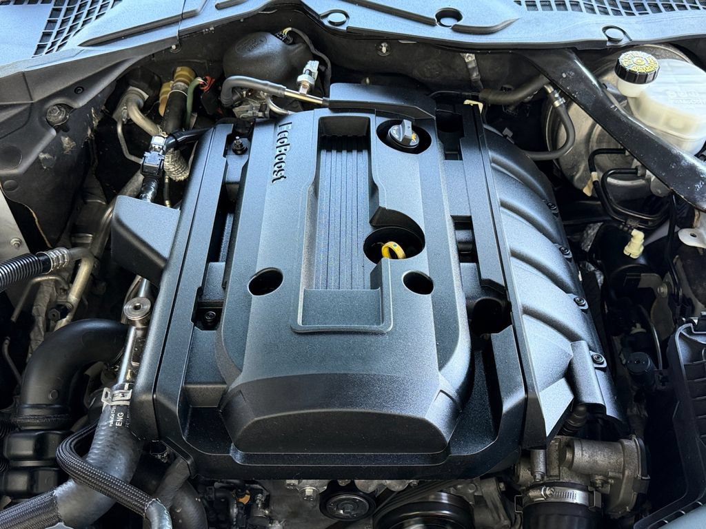 Used 2019 Ford Mustang Premium RWD image 20