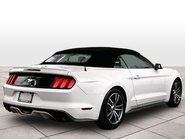 Used 2015 Ford Mustang Premium w/ Equipment Group 201A RWD image 11