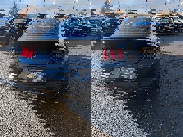 New 2024 Ford Mustang GT Premium w/ GT Performance Package image 14