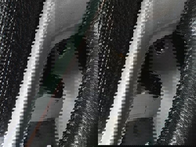 Used 2017 Toyota Sienna XLE w/ XLE Navigation Package image 28