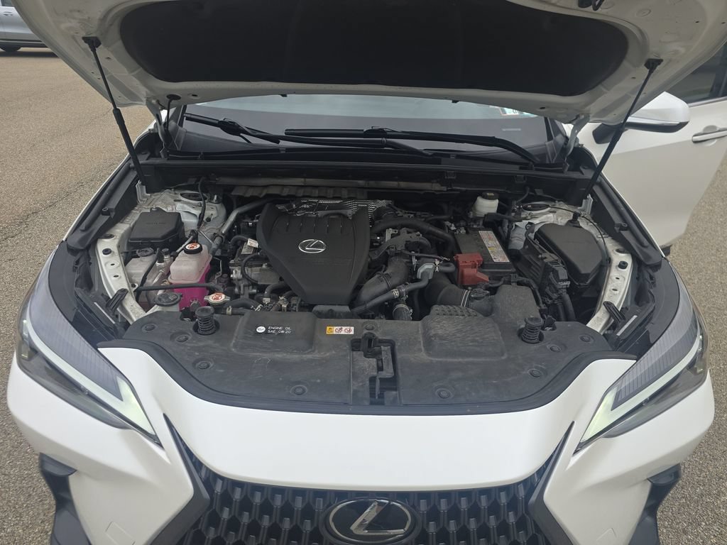 Used 2024 Lexus NX 350 AWD w/ Cold Area Package image 21