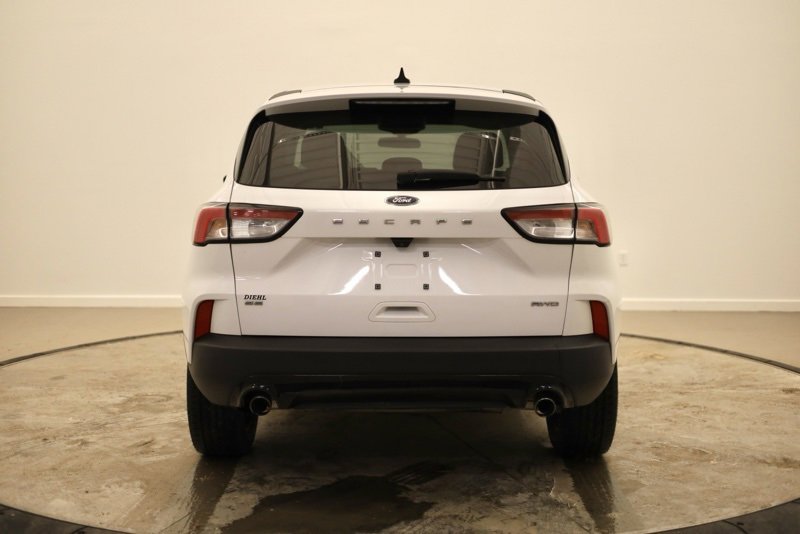 Used 2022 Ford Escape SE w/ SE Sport Appearance Package image 4