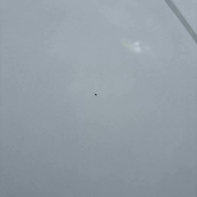 Used 2022 Hyundai Palisade SEL w/ 8P Bench Seat Package image 25