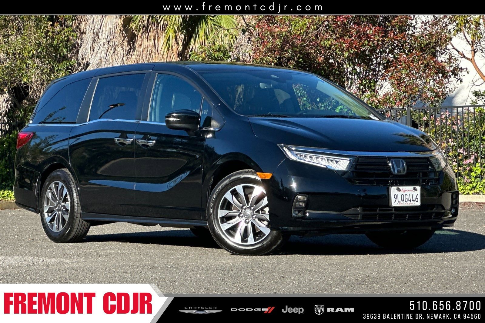 Used 2024 Honda Odyssey EX-L image 1