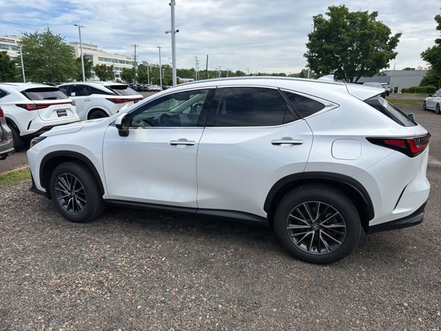 Used 2025 Lexus NX 350h AWD w/ Cold Area Package image 7