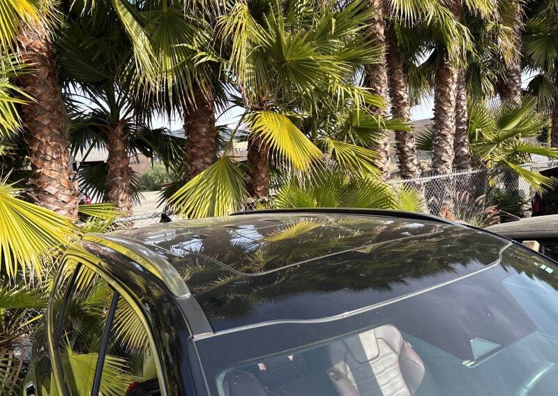 Certified 2024 Kia Telluride SX Prestige image 7