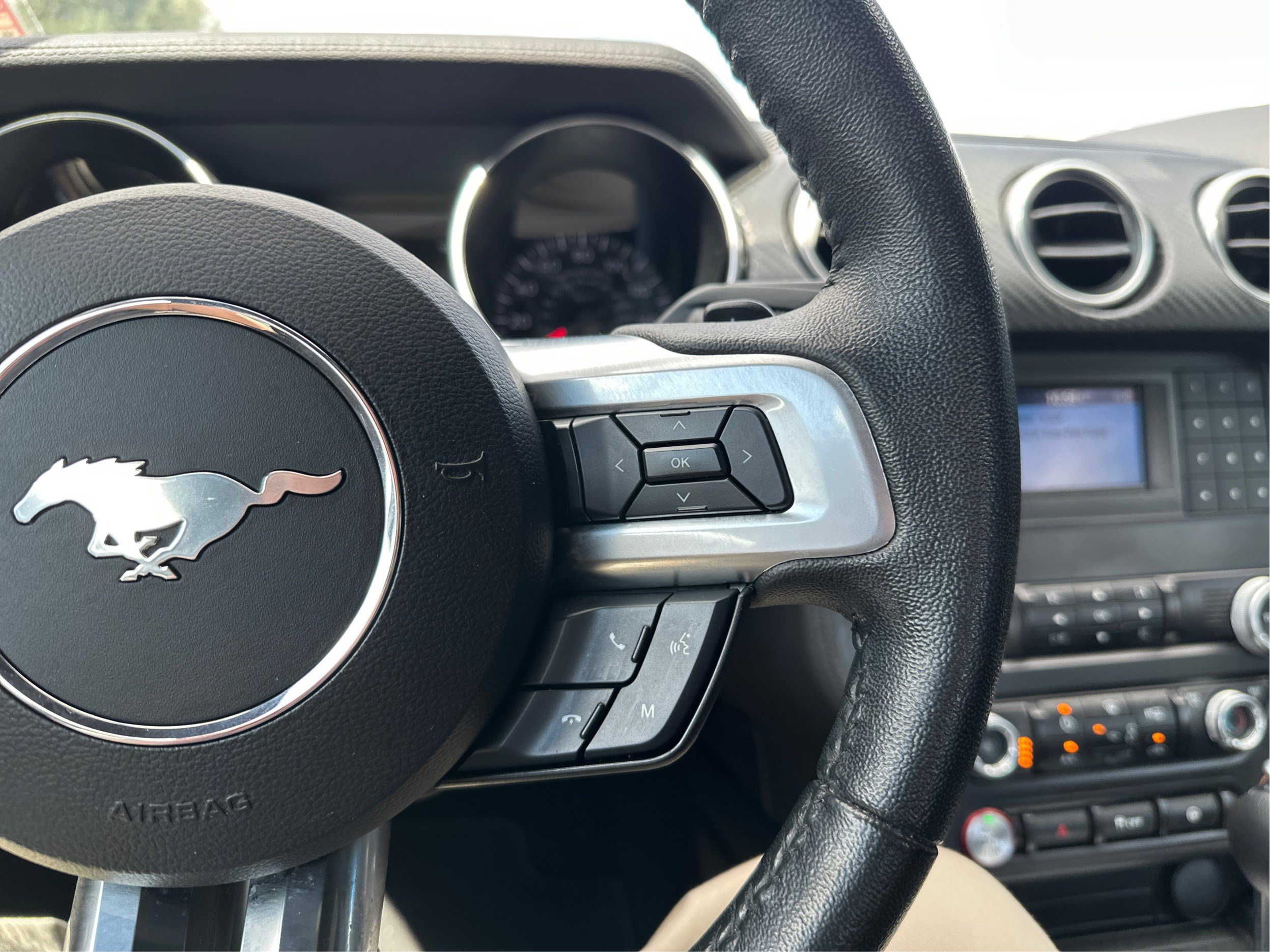 Used 2019 Ford Mustang Coupe RWD image 31