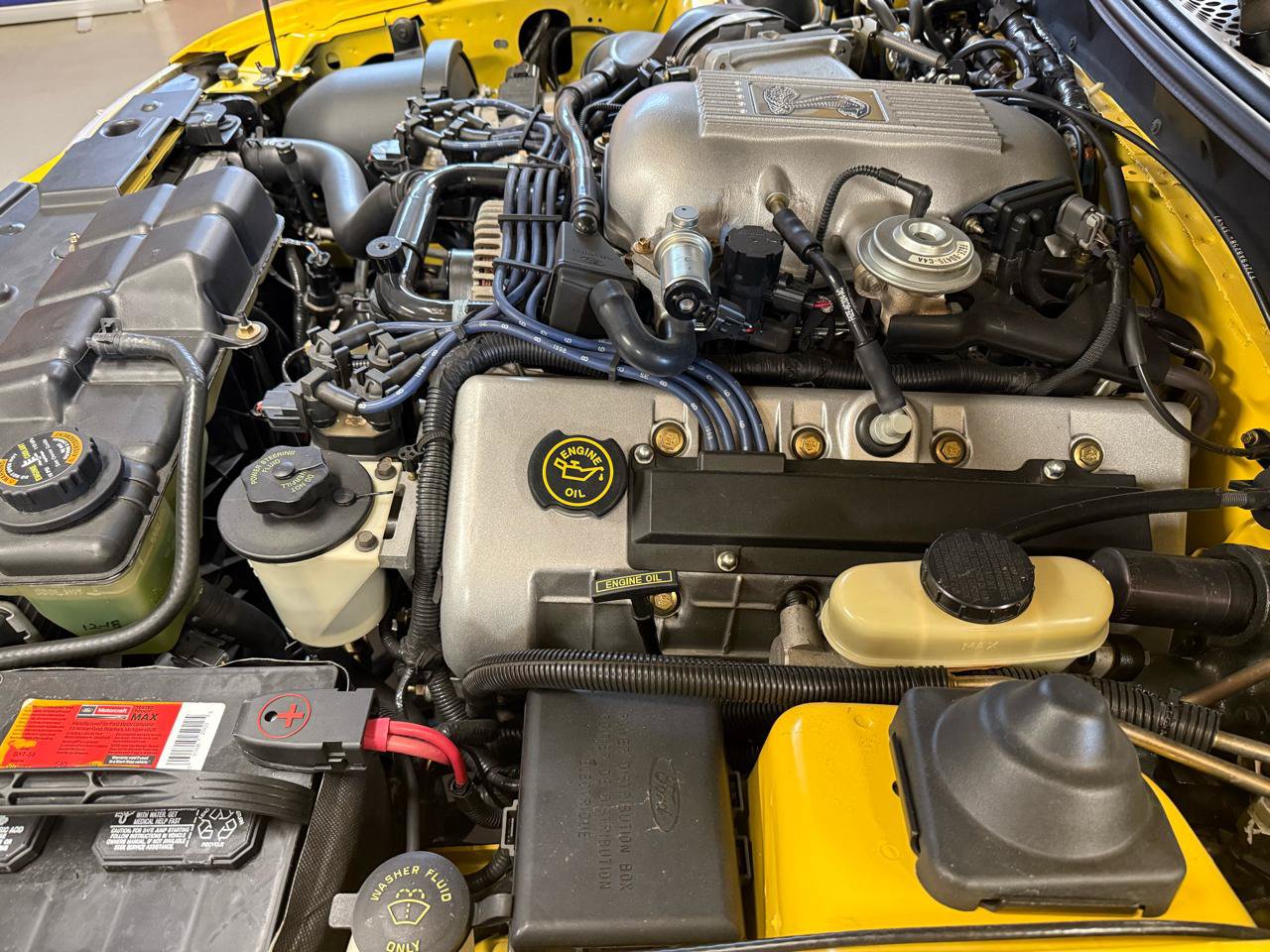 Used 1998 Ford Mustang Cobra RWD image 31