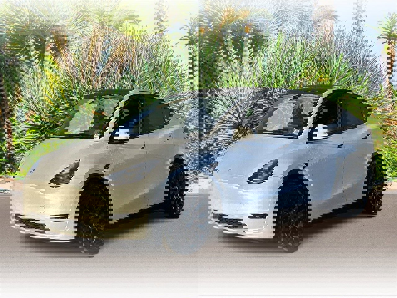 Used 2022 Tesla Model Y Performance