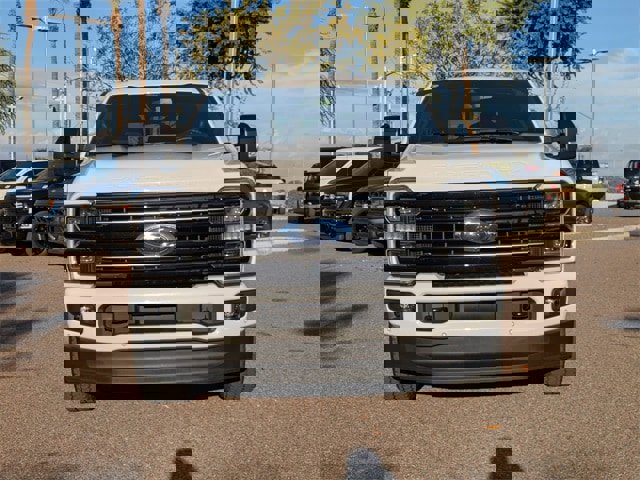 Used 2025 Ford F250 Platinum w/ FX4 Off-Road Package image 9