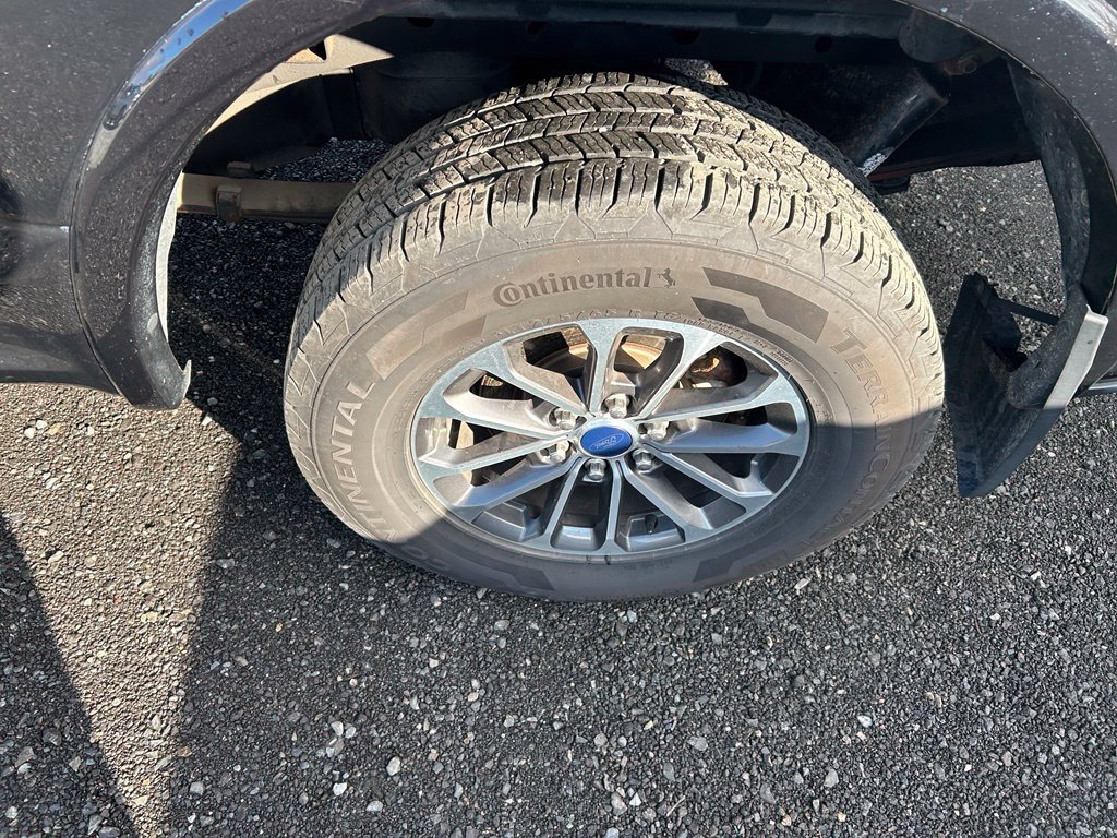 Used 2019 Ford F150 XLT w/ Equipment Group 302A Luxury AWD/4WD image 6