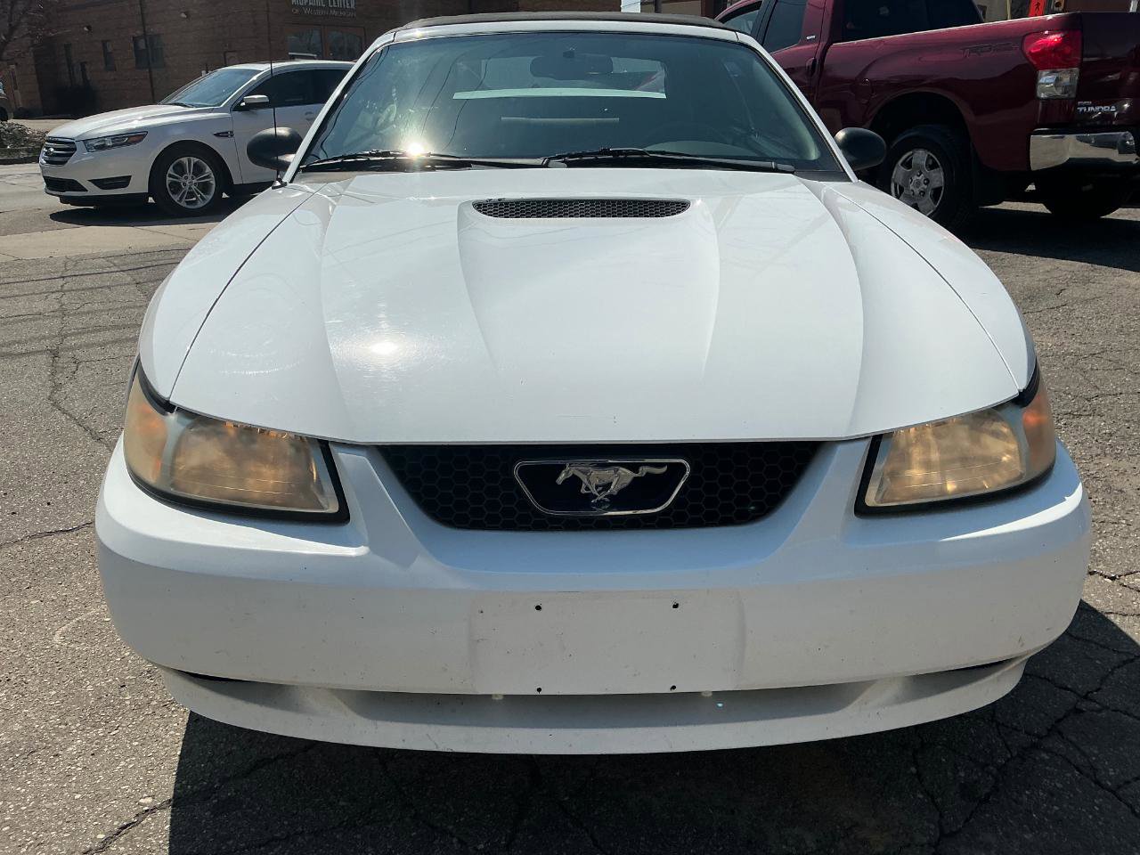 Used 2000 Ford Mustang Convertible RWD image 8
