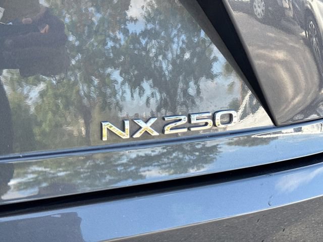 Used 2025 Lexus NX 250 FWD w/ Cold Area Package image 11