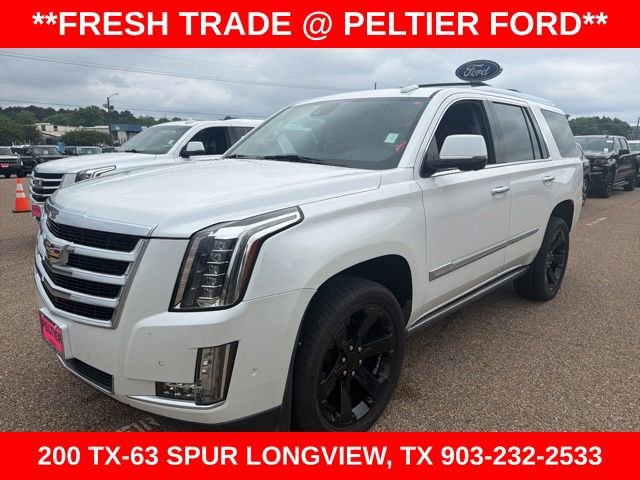 Used 2019 Cadillac Escalade Premium Luxury RWD image 7