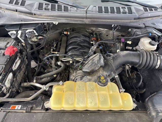 Used 2019 Ford F150 XLT w/ Equipment Group 302A Luxury image 17