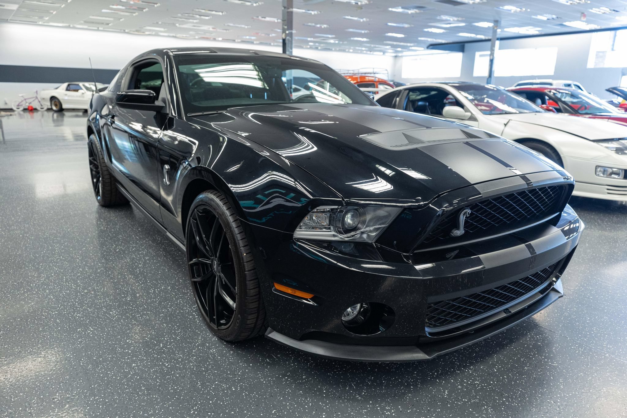 Used 2010 Ford Mustang Shelby GT500 RWD image 3