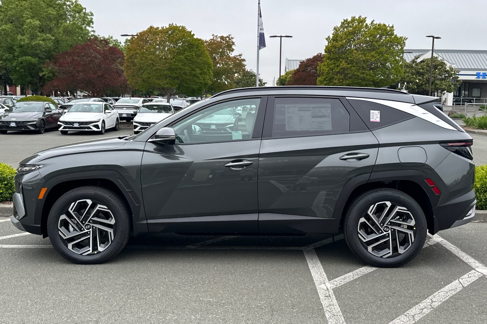 New 2026 Hyundai Tucson Limited AWD/4WD image 7