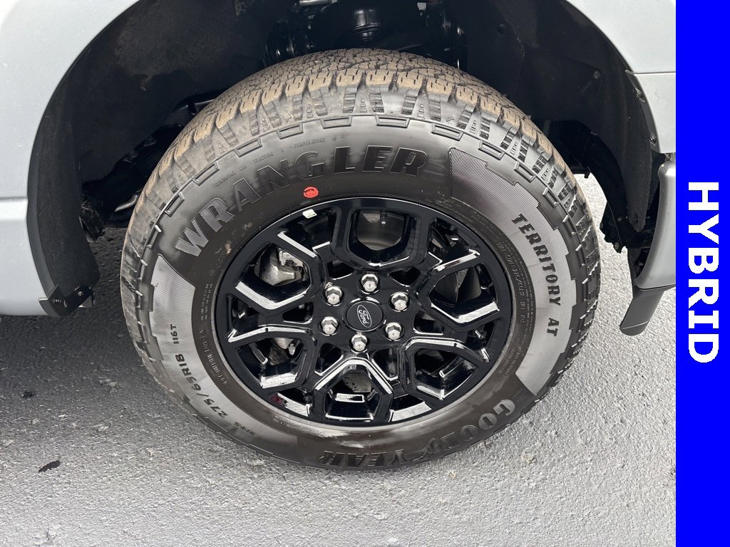 New 2025 Ford F150 XLT w/ Equipment Group 302A MID image 10