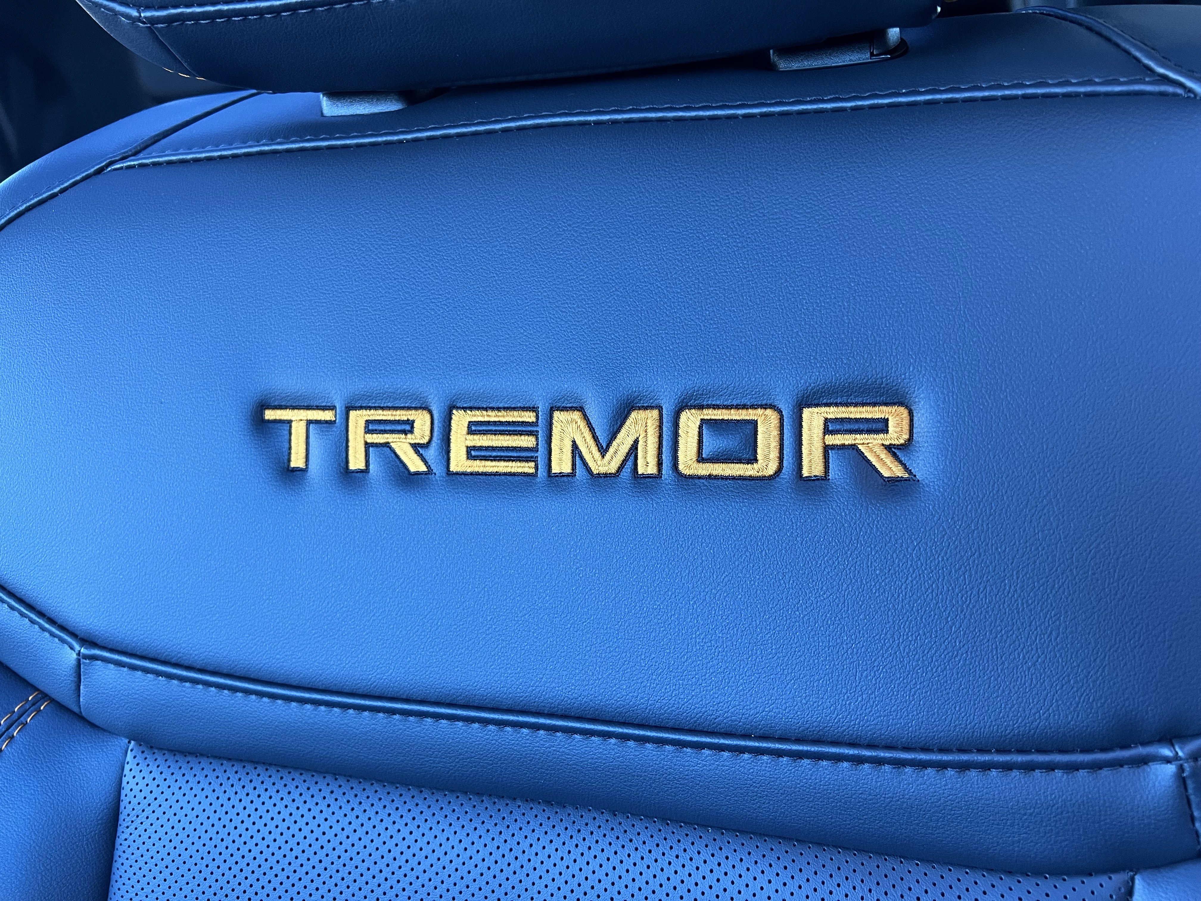 New 2026 Ford Expedition Tremor image 16