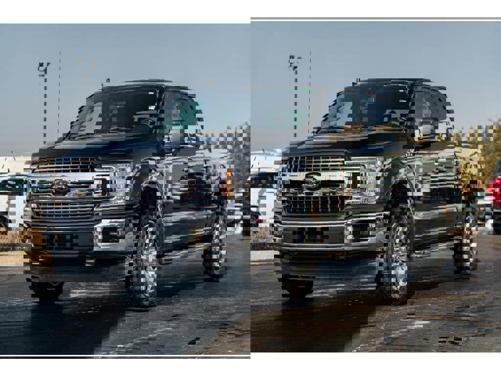 Used 2019 Ford F150 XLT w/ Equipment Group 302A Luxury image 2