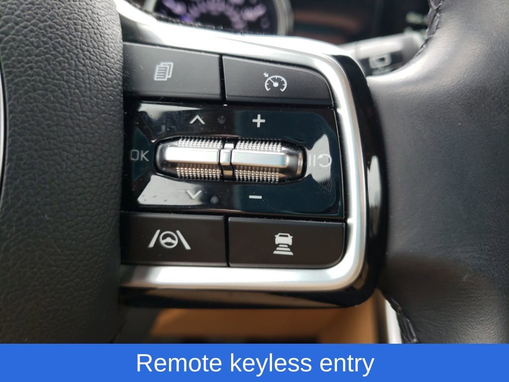 Used 2024 Kia Carnival EX image 14