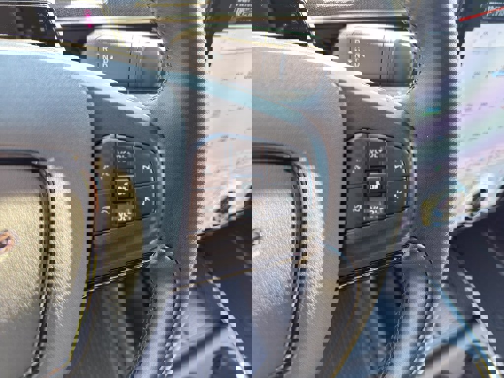 New 2025 Ford Mustang Mach-E Premium w/ Interior Protection Package image 19