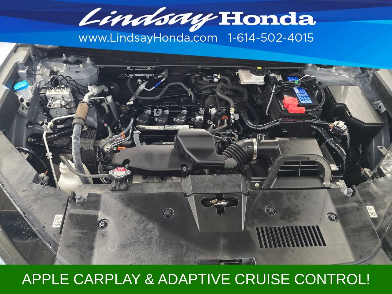Used 2024 Honda CR-V LX image 24