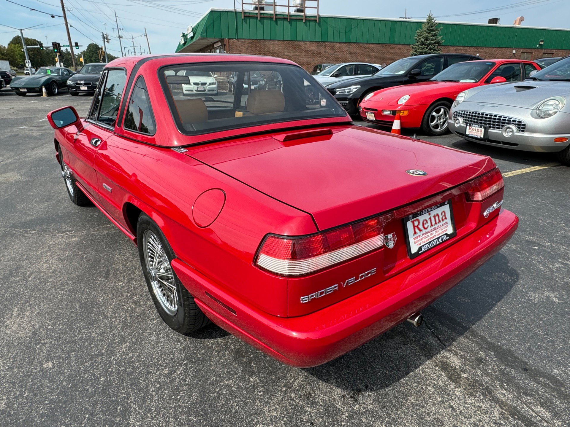 Used 1991 Alfa Romeo Spider Veloce image 7