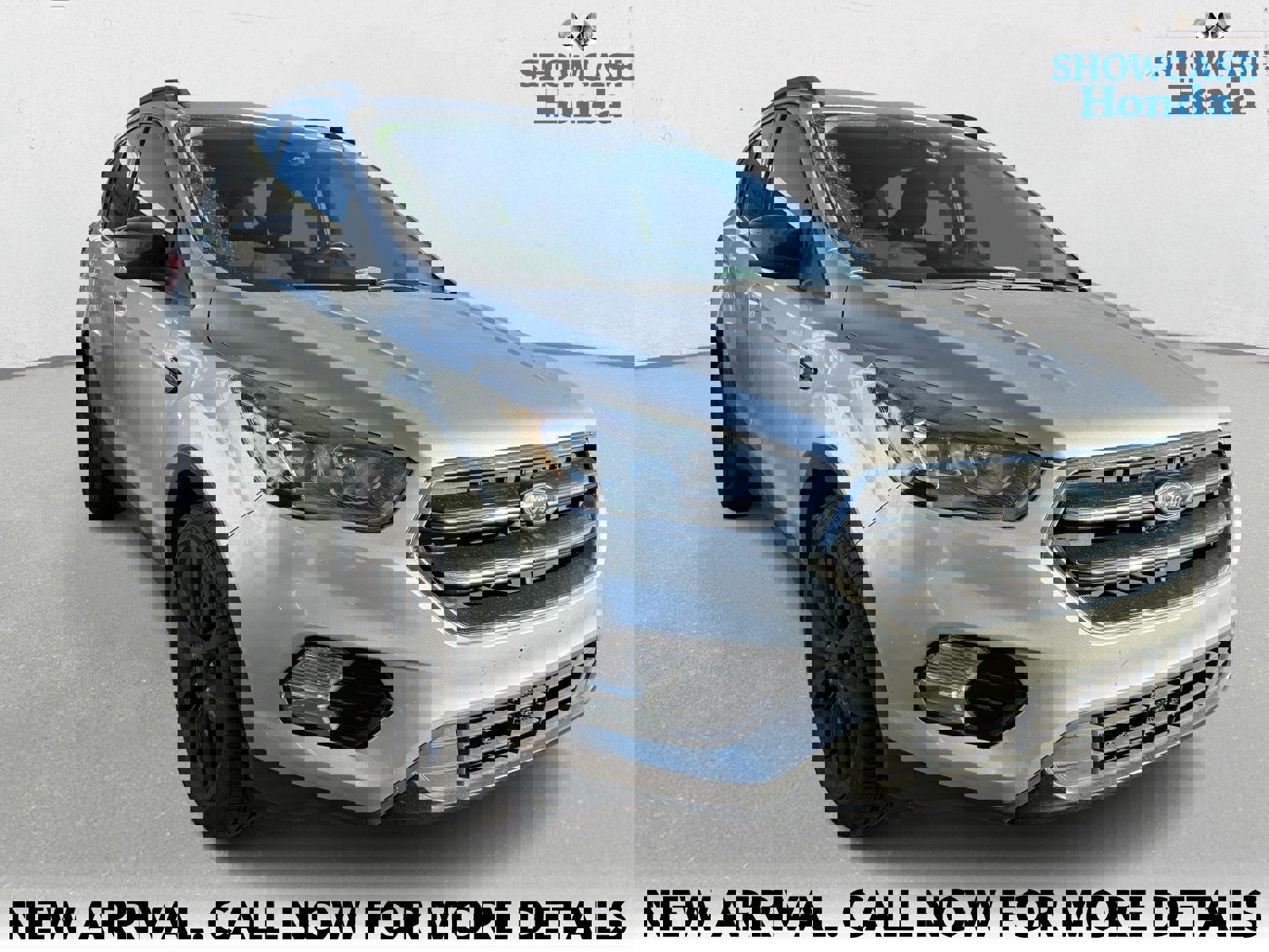 Used 2019 Ford Escape SE image 5