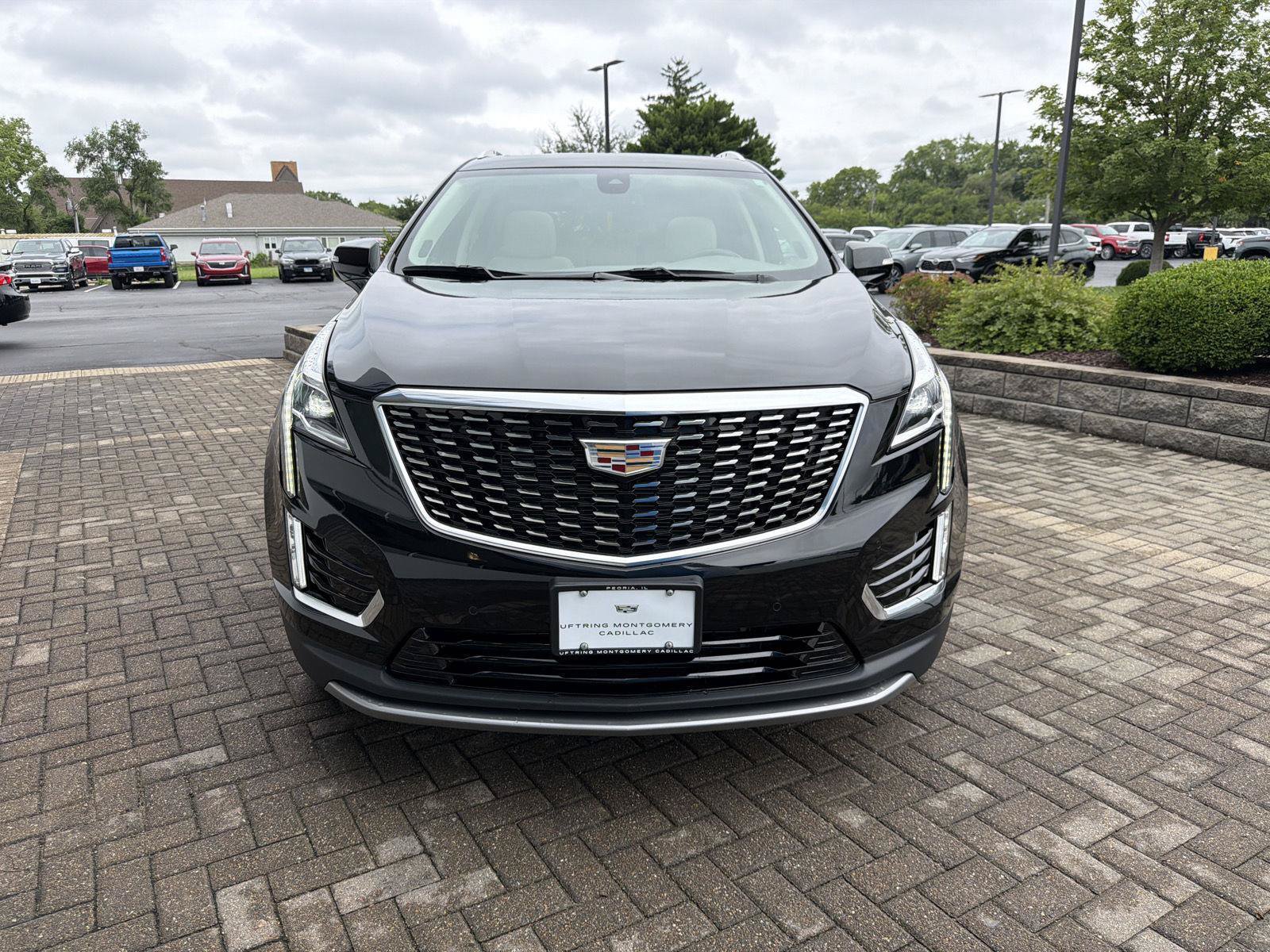 Used 2024 Cadillac XT5 Premium Luxury AWD/4WD image 8