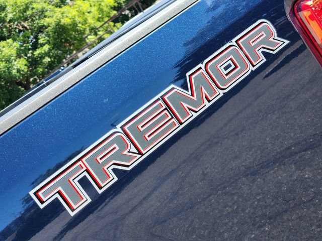 Certified 2020 Ford F250 XLT w/ Tremor Off-Road Package AWD/4WD image 19