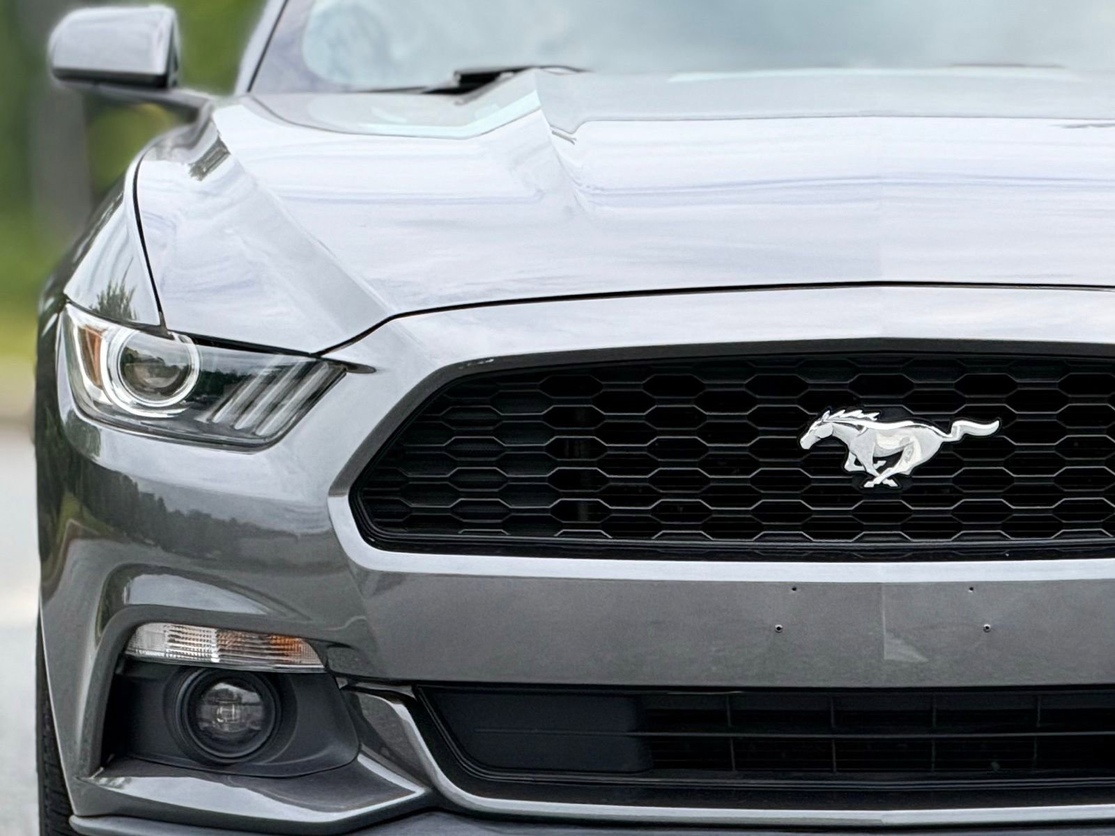 Used 2016 Ford Mustang Coupe w/ Equipment Group 051A RWD image 14
