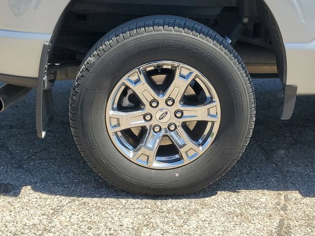 Used 2023 Ford F150 XLT w/ Equipment Group 302A High AWD/4WD image 5