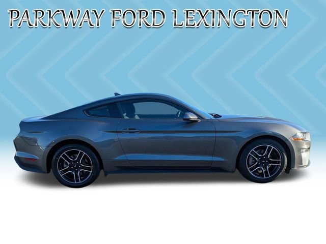 Used 2022 Ford Mustang Coupe w/ Equipment Group 101A image 4