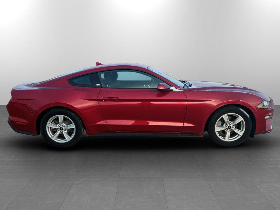 Used 2020 Ford Mustang EcoBoost image 5