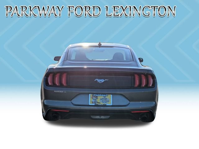 Used 2022 Ford Mustang Coupe w/ Equipment Group 101A image 6