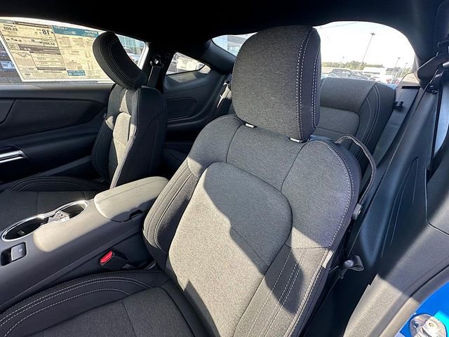 New 2025 Ford Mustang GT w/ Mustang Nite Pony Package image 13