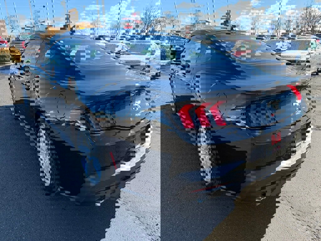 New 2026 Ford Mustang Coupe image 5