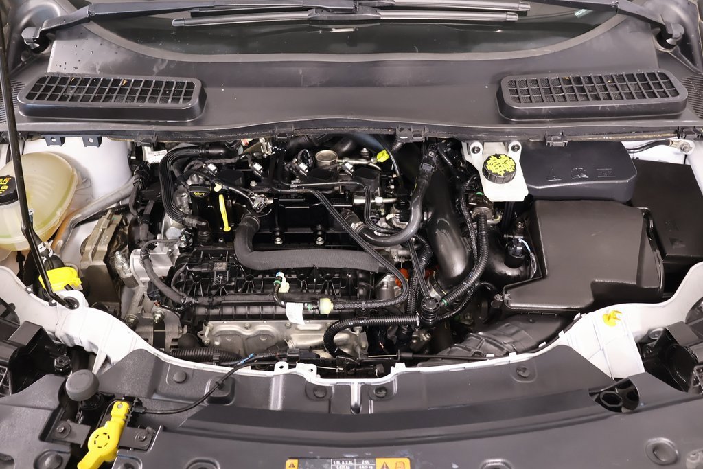 Used 2019 Ford Escape SE image 19