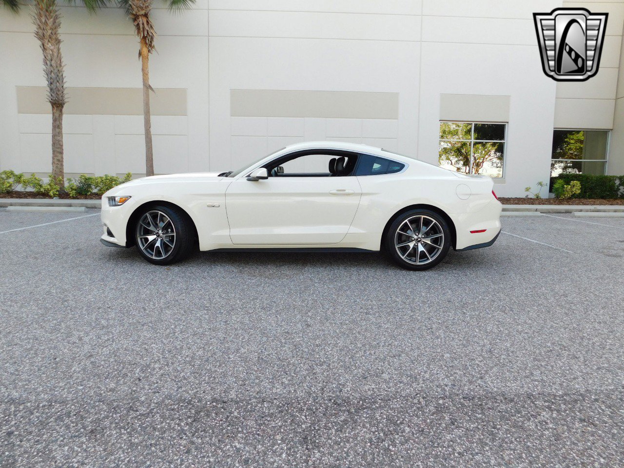 Used 2015 Ford Mustang 50 Years image 5