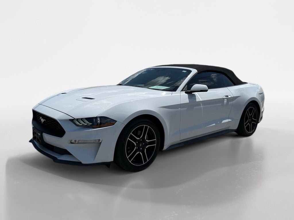Used 2019 Ford Mustang Premium RWD image 1