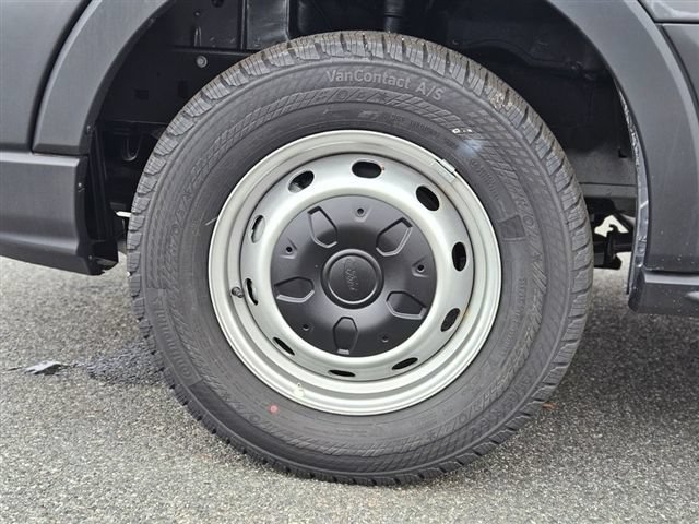 New 2024 Ford Transit 250 Low Roof w/ Load Area Protection Package RWD image 25