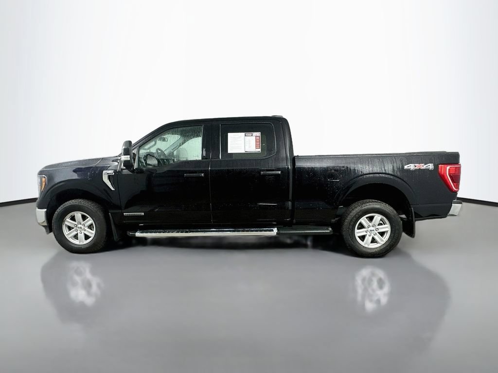 Used 2023 Ford F150 XLT w/ Equipment Group 301A Mid AWD/4WD image 5