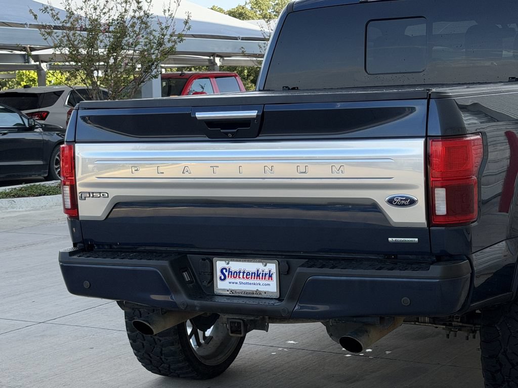 Used 2019 Ford F150 Platinum w/ Equipment Group 701A Luxury AWD/4WD image 6