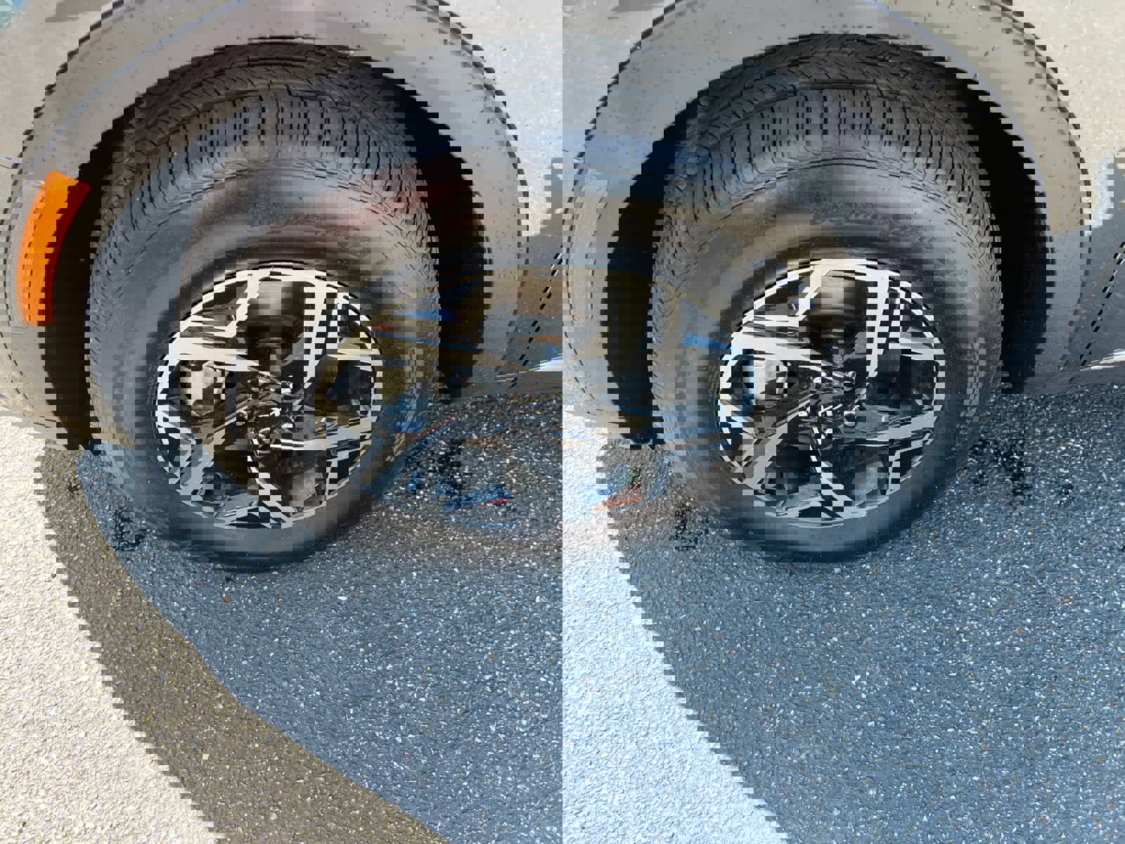 Certified 2025 Kia Sportage LX image 3