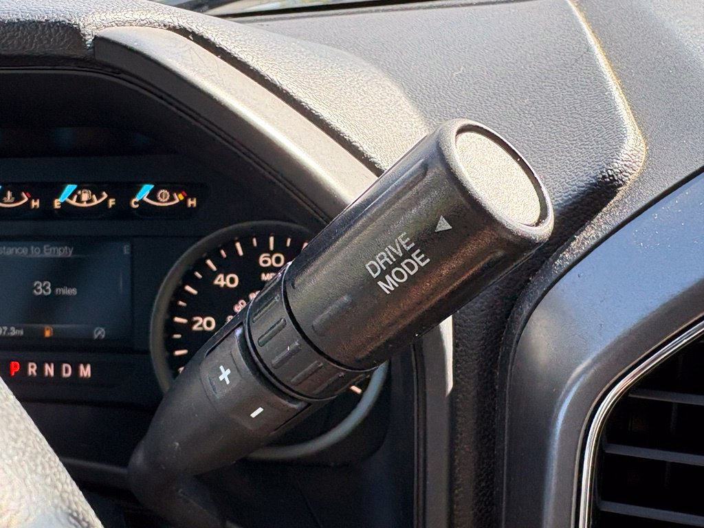 Used 2019 Ford F150 XLT w/ Equipment Group 302A Luxury AWD/4WD image 24
