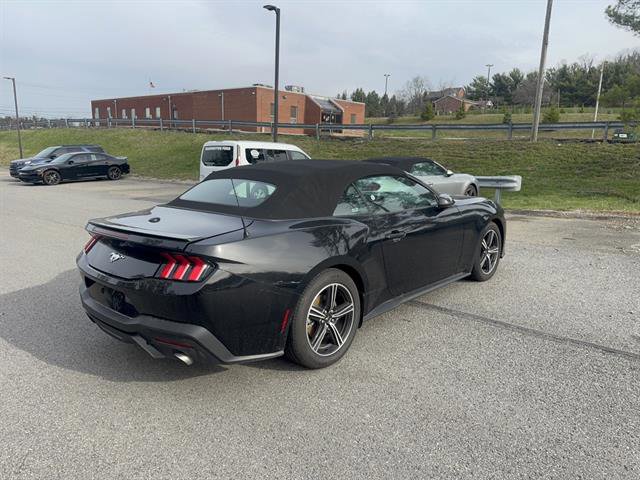 Used 2024 Ford Mustang Premium image 6